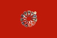 海安市回收红酒